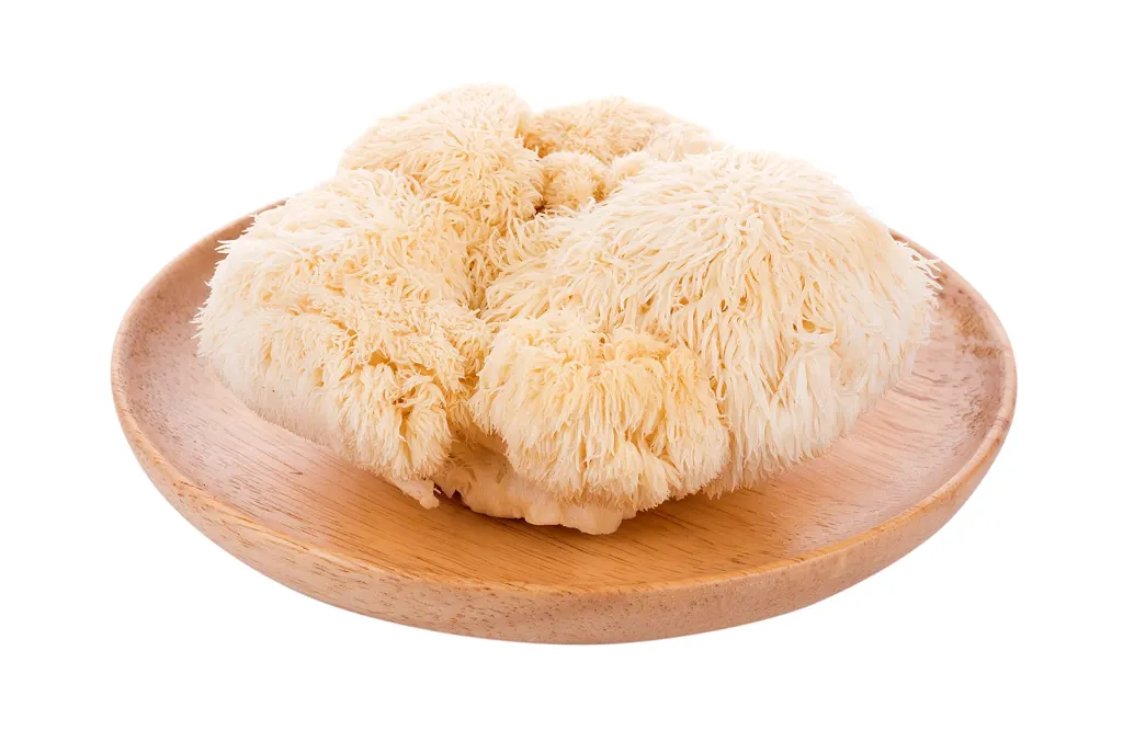 Fresh Lion's Mane Mushrooms